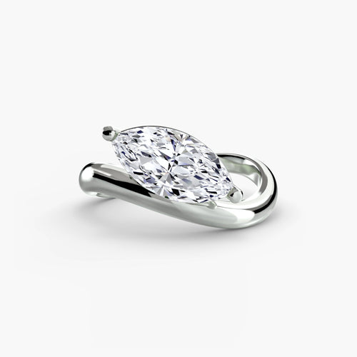 Completed Ring (Europe Size 54.00) The Perfect Carat