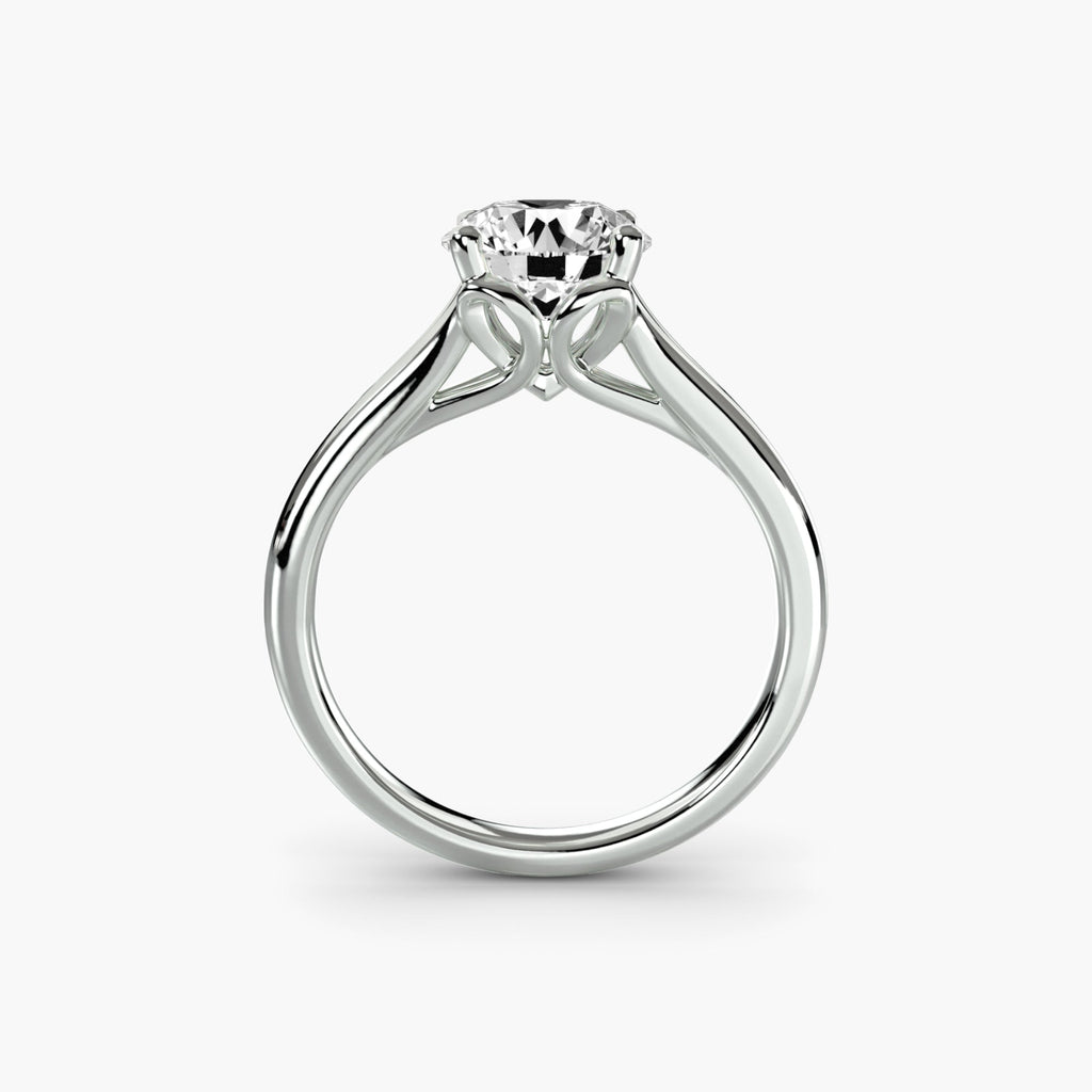 Solitaire ring 4 The Perfect Carat