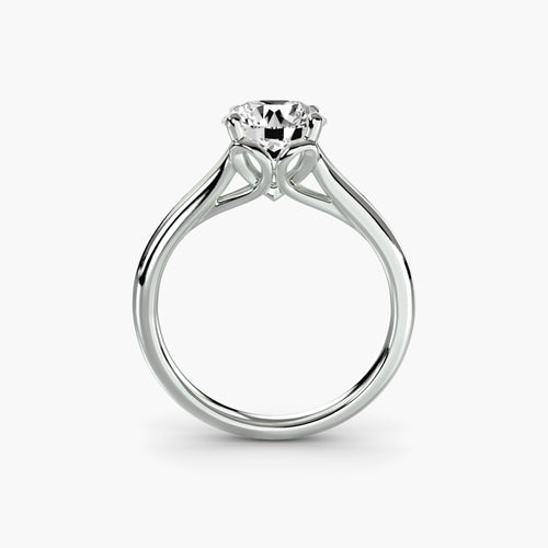 Solitaire ring 4 The Perfect Carat