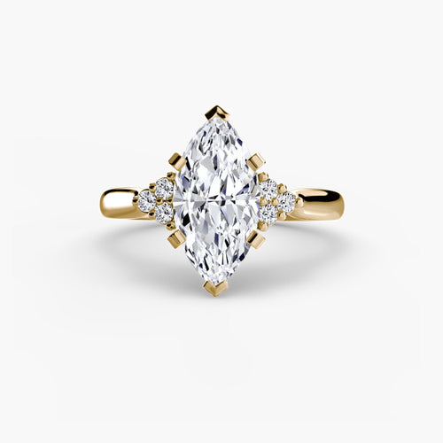 Solitaire with Cluster Shoulders 2 The Perfect Carat