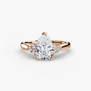 Solitaire with Cluster Shoulders 2 The Perfect Carat