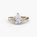 Solitaire with Cluster Shoulders 2 The Perfect Carat